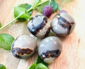 Septarian Draksten
