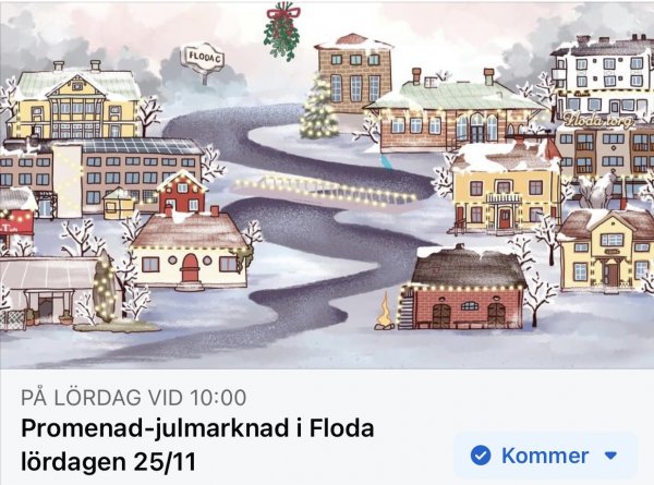 Promenad - Julmarknad i Floda 25nov