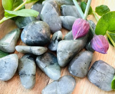 Labradorit Trumlad 2-3cm 1st