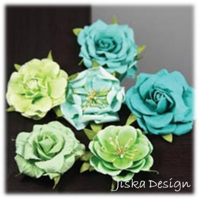 Lilleput Roses Lime 6-pack